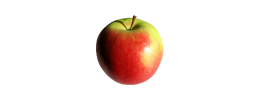 polskie jabłka grupa producentów  owoców warzyw